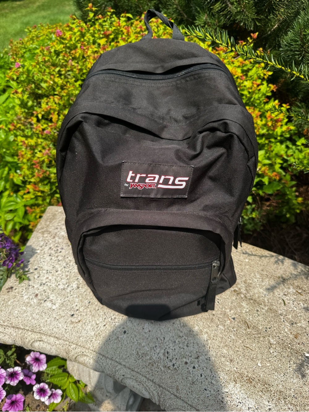 JanSport Trans Black Men's Backpack - Classic Everyday Carry